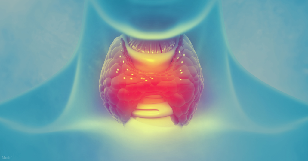 Visual x-ray image of the human thyroid gland (model)